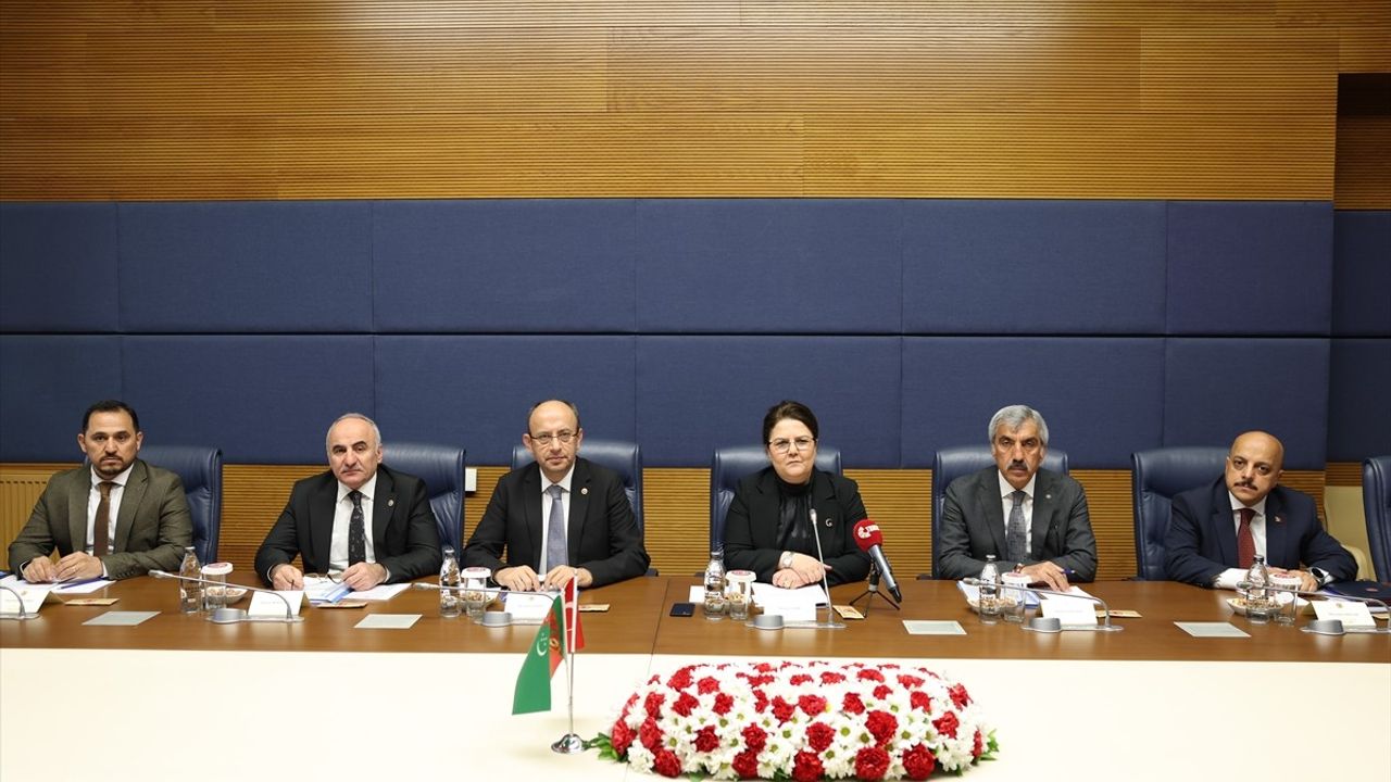 TBMM ve Türkmenistan Ombudsmanı Arasındaki Temaslar