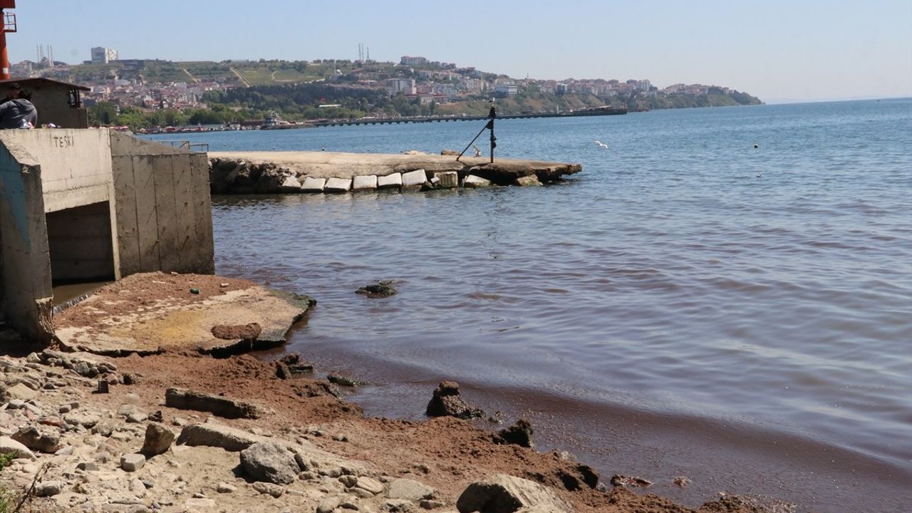 Tekirdağ'da Rüzgarın Etkisiyle Kıyıya Kırmızı Yosunlar Birikti