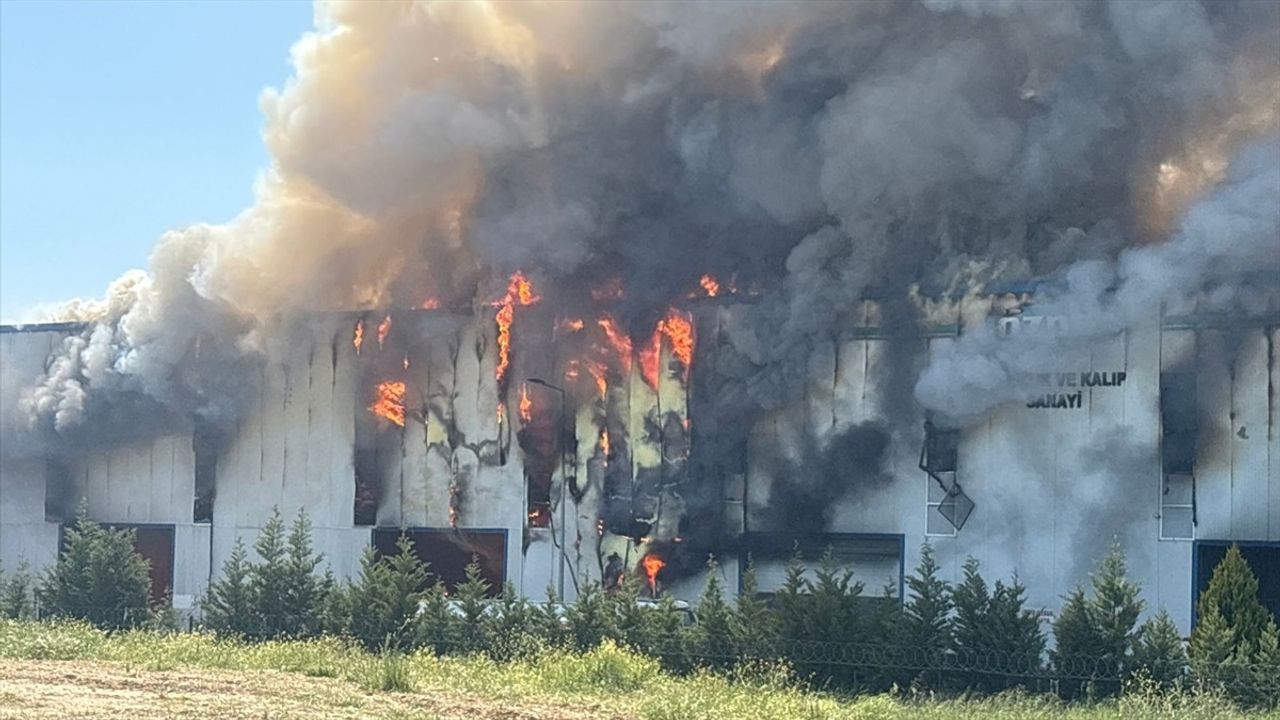 Tekirdağ'daki Kauçuk Fabrikasında Yangın Çıktı