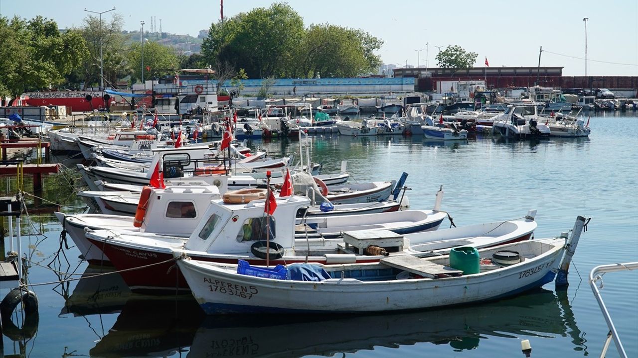 Tekirdağlı Balıkçılar İstavrit İçin Denize Açıldı