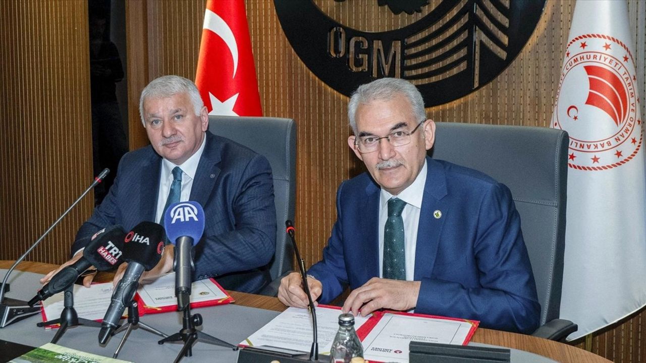 THY ve Orman Genel Müdürlüğü, Ağaçlandırma İçin Protokol İmzaladı