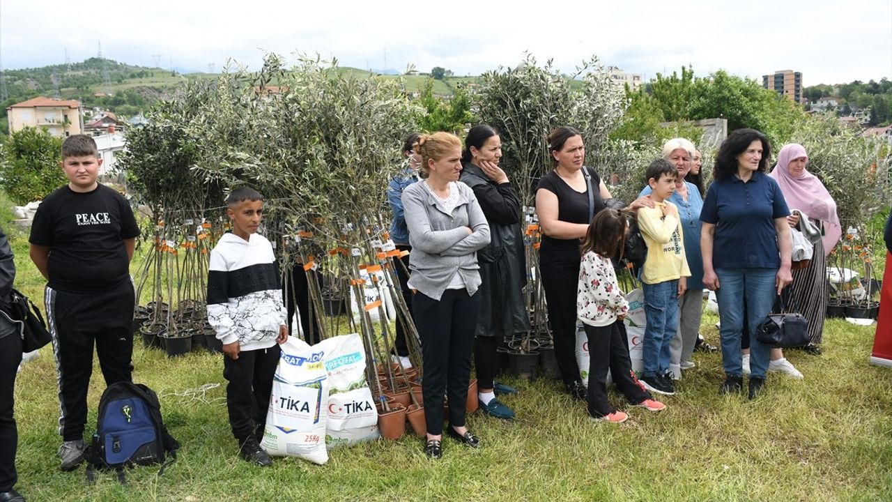 TİKA'nın Arnavutluk'taki Zeytin Fidanı Desteği