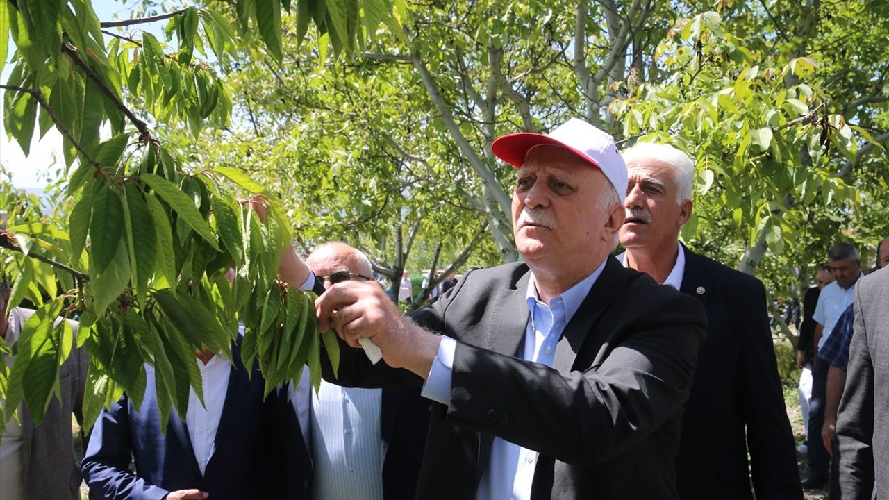 Tokat'ta Don Olayının Tarımsal Etkileri İncelendi