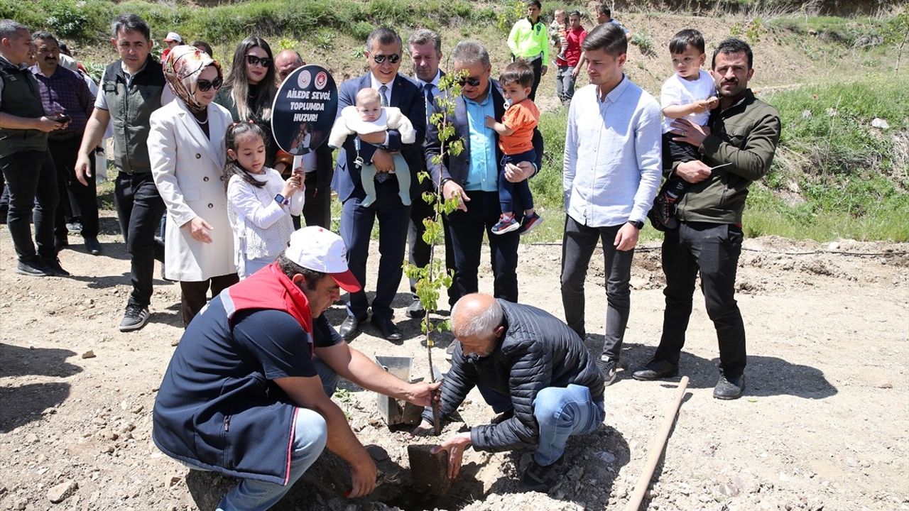 Tortum'da Yeni Doğan Beşiktaşı Ormanı Hayata Geçirildi