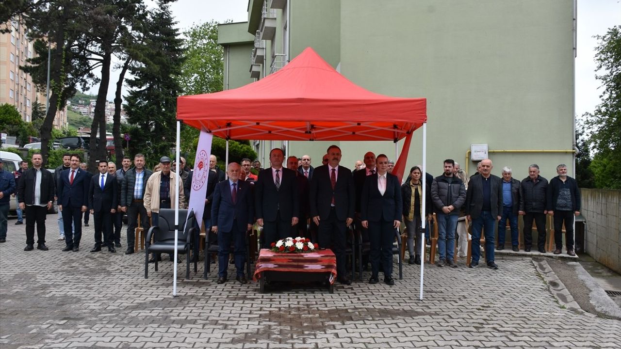 Trabzon'da Çiftçilere 260 Bin Sebze Fidesi Dağıtıldı