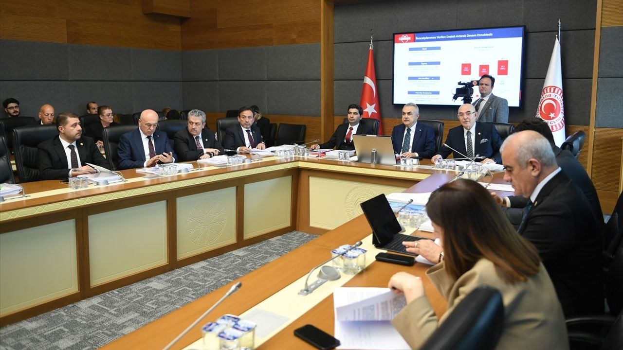 Türk Eximbank 2021 ve 2022 Hesapları TBMM'de Görüşüldü