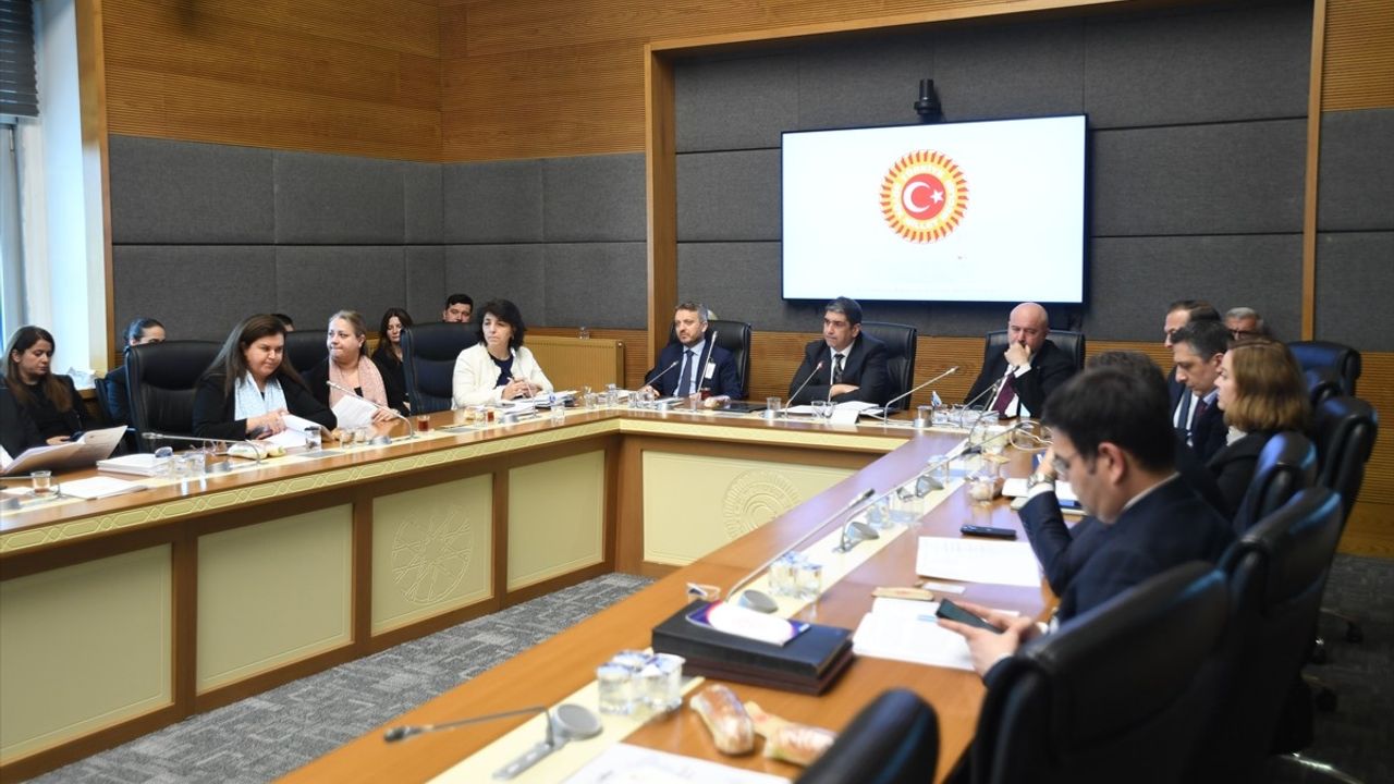Türkiye Kalkınma ve Yatırım Bankası Hesapları TBMM Komisyonunda Görüşüldü