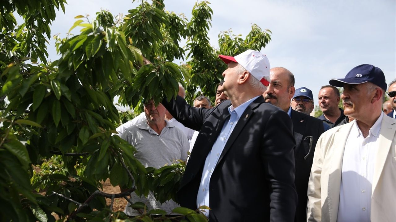 TZOB Genel Başkanı Bayraktar, Eskişehir'de Kiraz Bahçelerini İnceledi