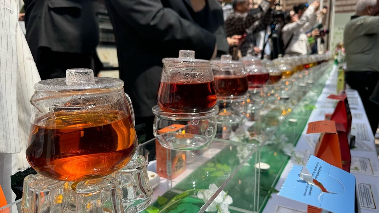 Uluslararası Çay Günü Kutlaması