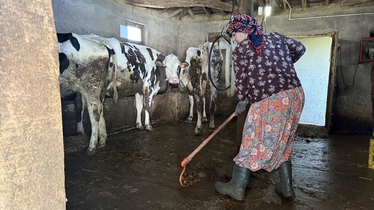 Üniversiteli Büşra'nın Tarım ve Hayvancılıkla Dolu Hayatı
