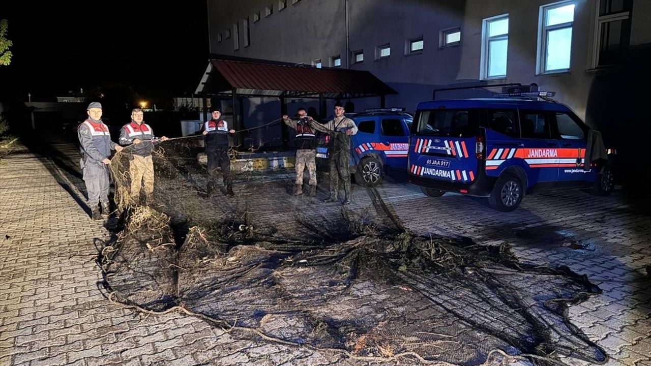 Van'da Kaçak Avlanan İnci Kefali Suya İade Edildi