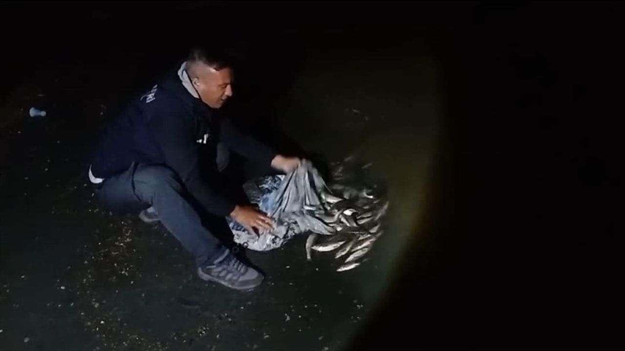 Van'da Kaçak İncik Kefali Avına Ağır Ceza