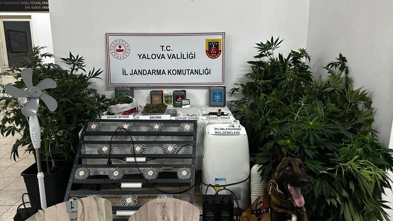 Yalova'da Uyuşturucu İmalatına Tutuklama