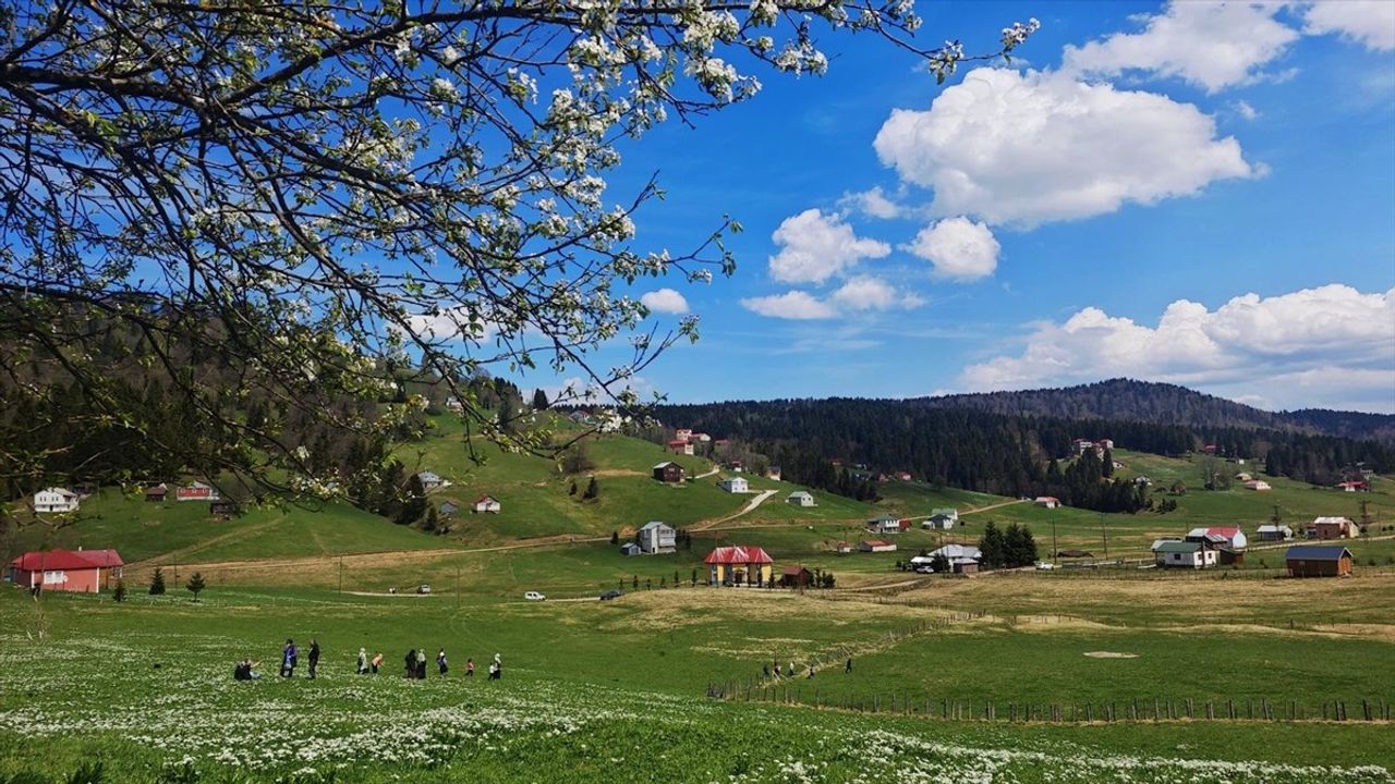 Yayla Çiçekleri Arasında Okuma Etkinliği