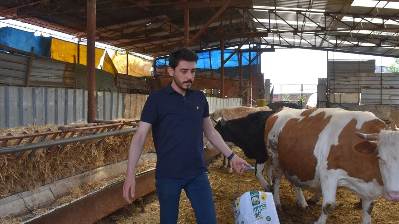 Yeni Nesil Çiftçilik: Teknoloji ile Araziler Artırılıyor