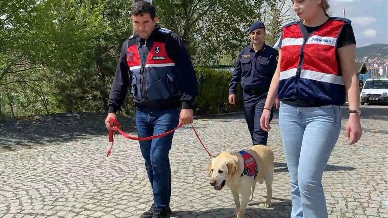 Yozgat'ta Jandarma İz Takip Köpeği Dost Emekli Oldu
