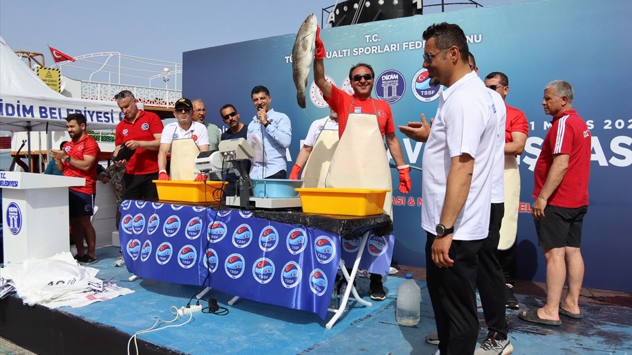Zıpkınla Balık Avı Türkiye Şampiyonası Sonuçlandı