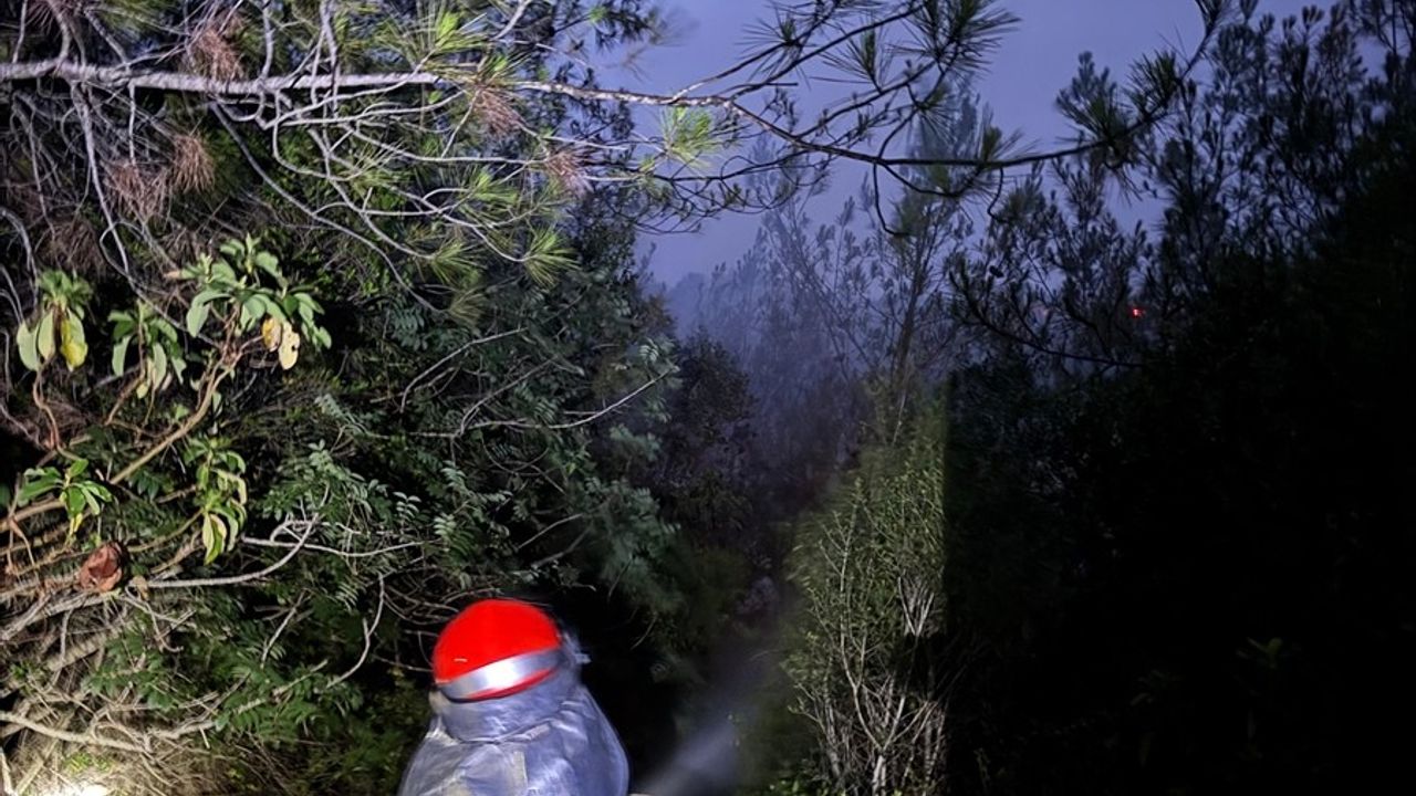 Adana'da Orman Yangını Kontrol Altına Alındı