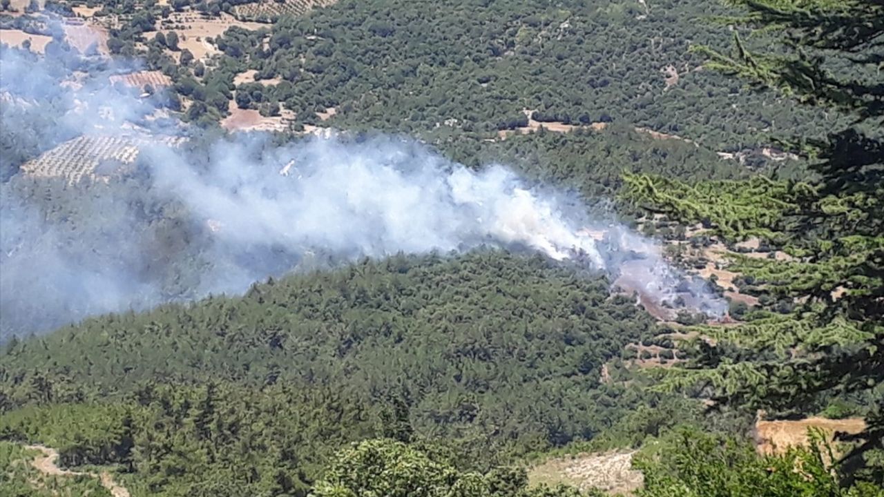 Adana'daki Orman Yangını Kontrol Altına Alındı