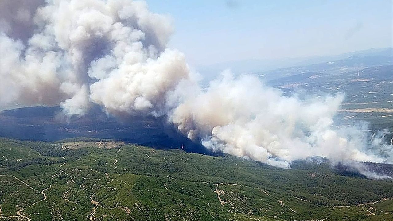 Akhisar'da Orman Yangınına Müdahale Devam Ediyor