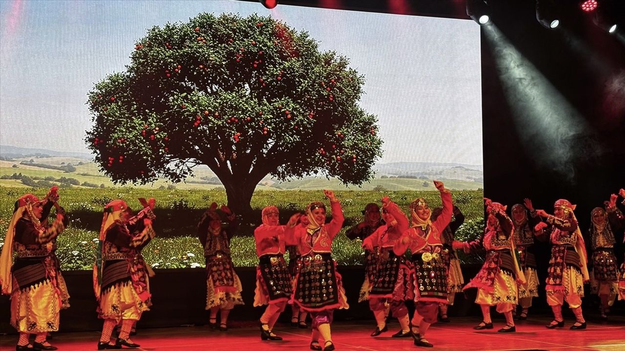 Ankara Maarif Orkestrası ve Halk Dansları Topluluğu Yıl Sonu Gösterisi