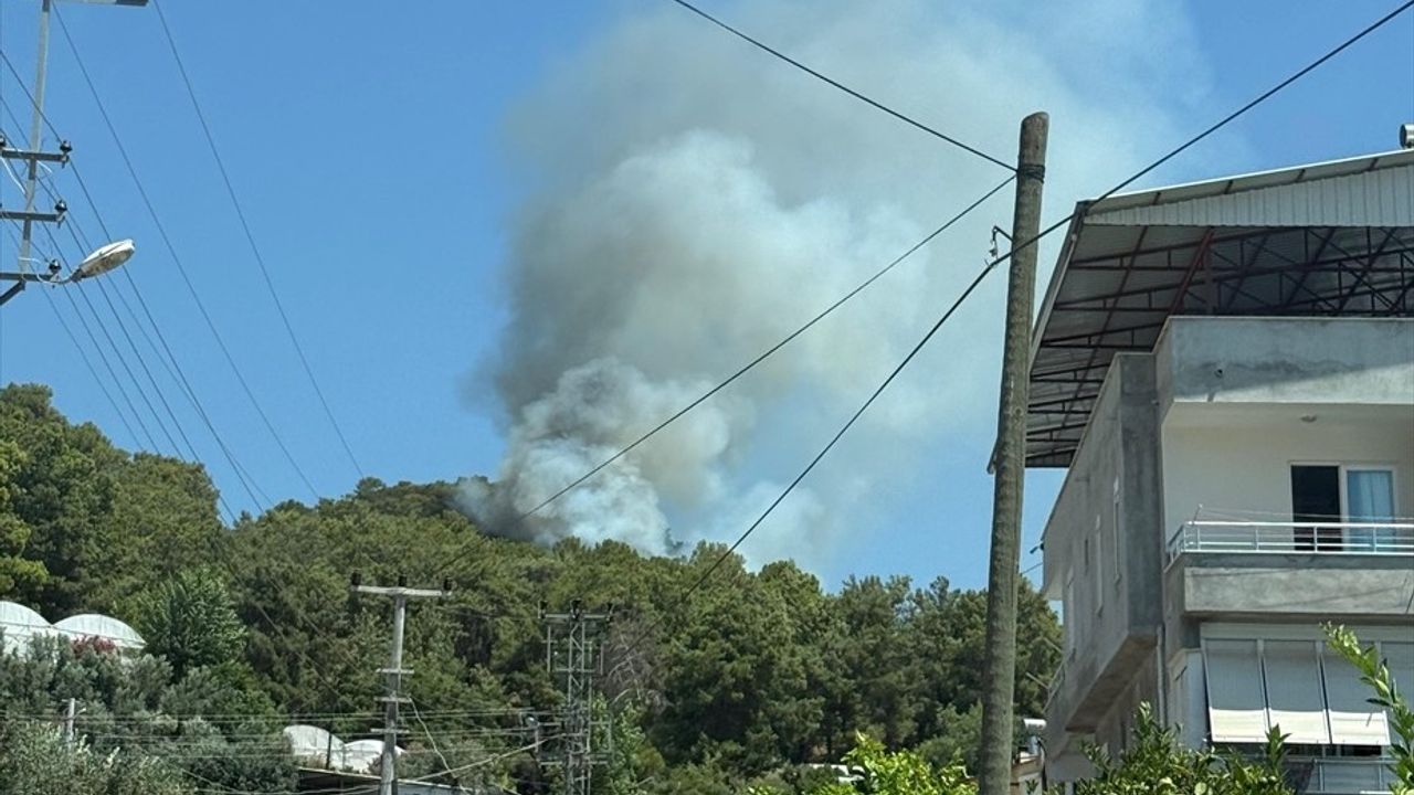 Antalya'da Orman Yangını Kontrol Altına Alınmaya Çalışılıyor
