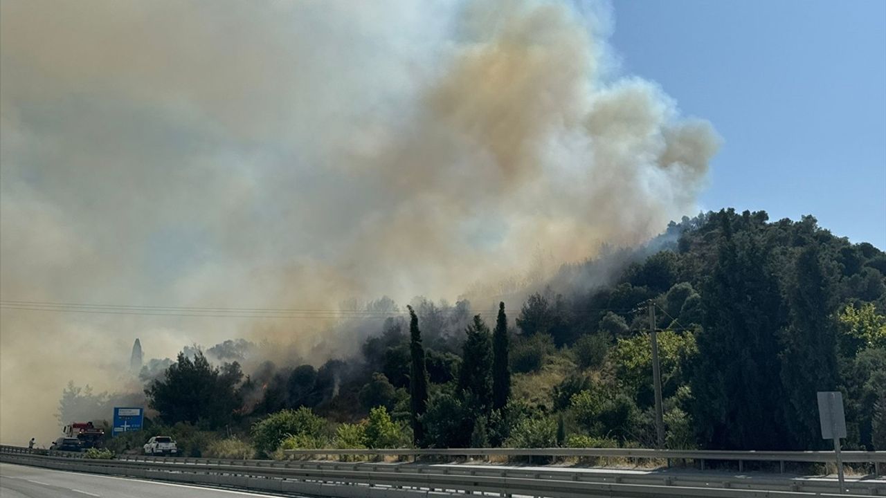 Aydın'da Tarım Yangınlarıyla Mücadele Devam Ediyor