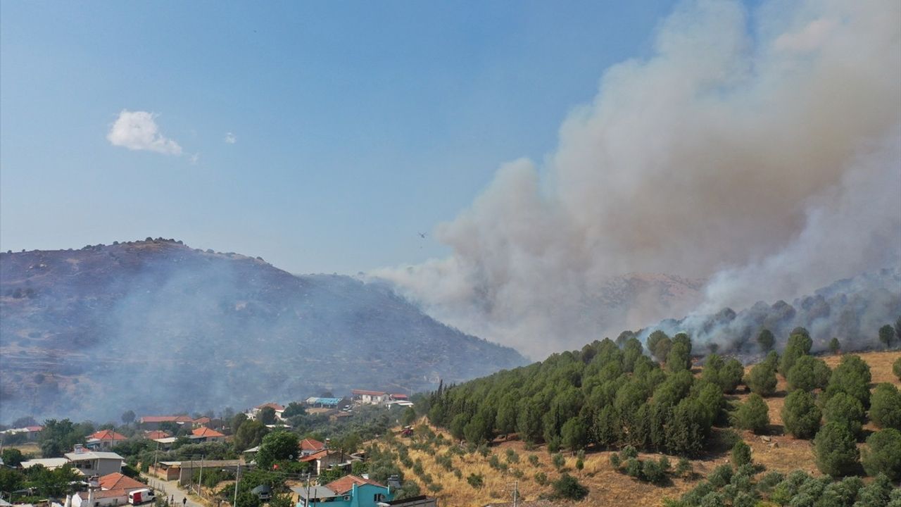 Aydın'da Yangına Hava ve Kara Müdahalesi