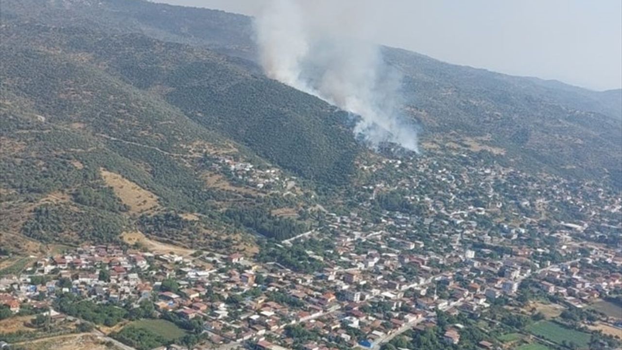 Aydın'da Ziraat Alanında Yangın Çıktı