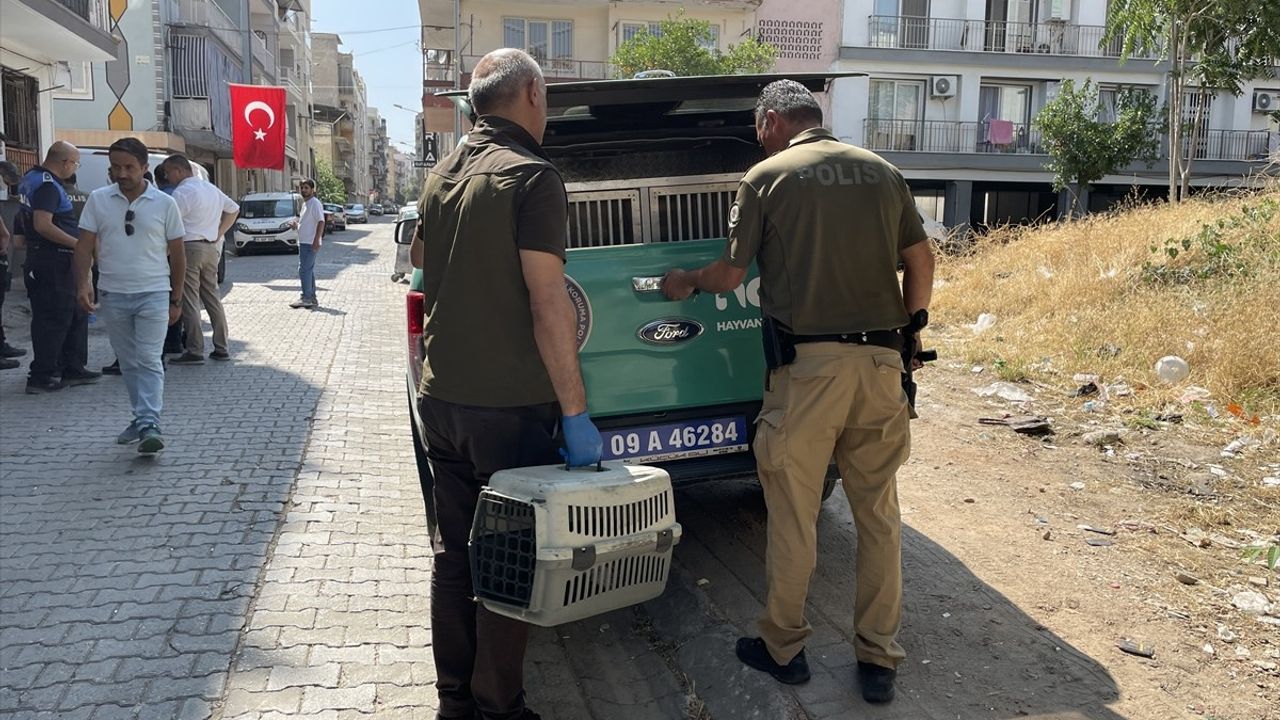 Aydın'daki Çöp Evden Şaşırtan Çıkanlar