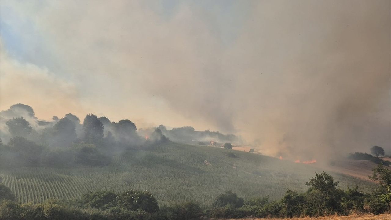 Balıkesir'de Arazide Yangın Kontrol Altında