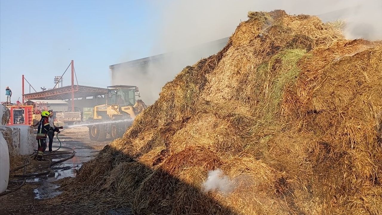 Balıkesir'de Tarım İşletmesinde Yangın Kontrol Altına Alındı