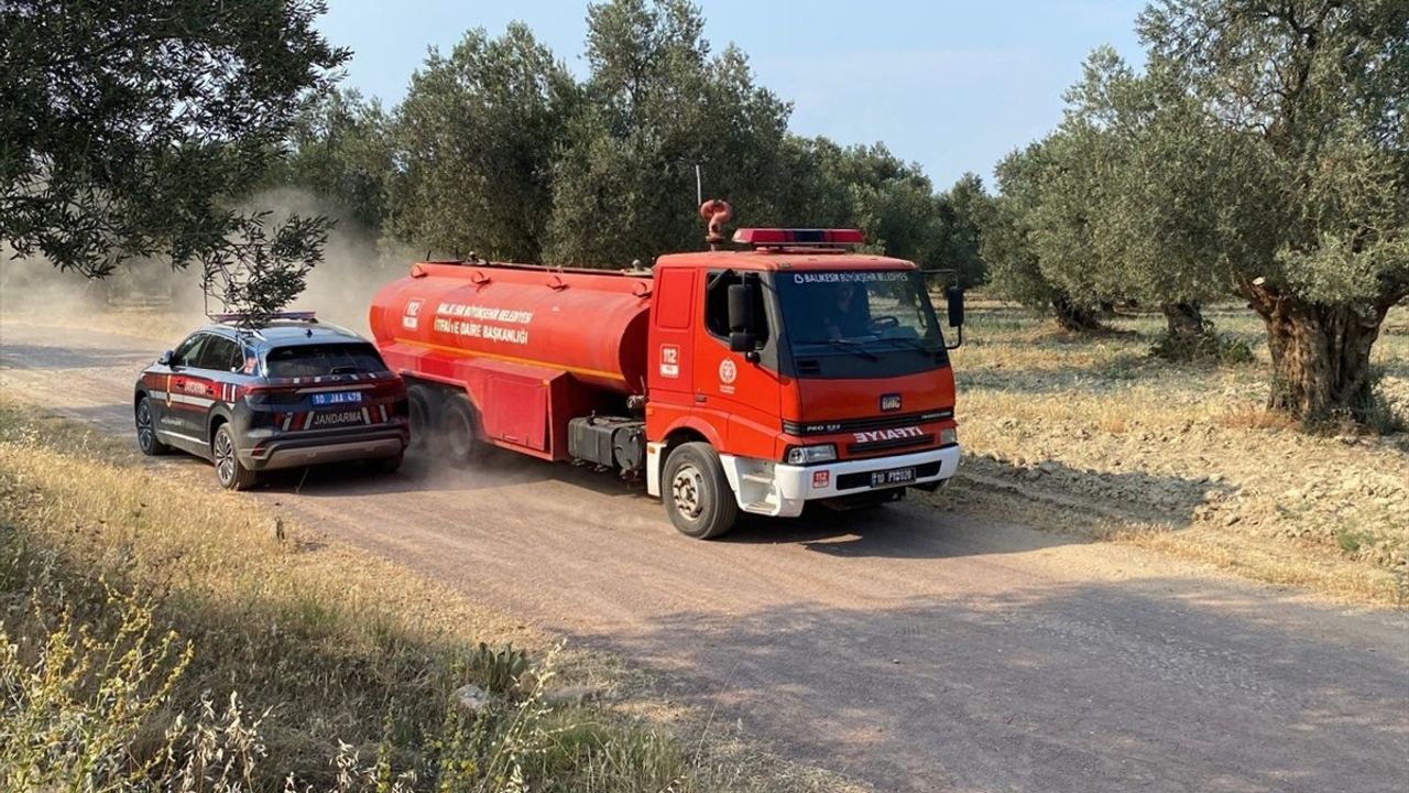 Balıkesir'de Zeytinlikte Yangın ile Mücadele Başlatıldı