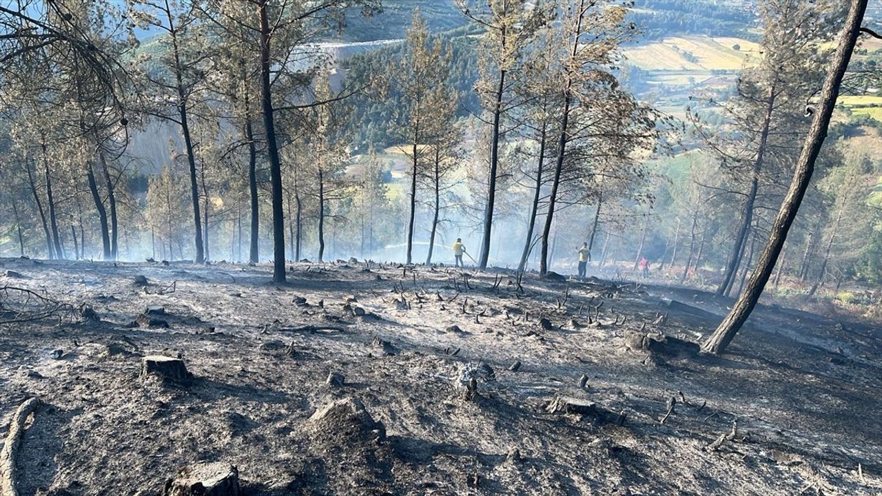 Balıkesir Dursunbey'deki Orman Yangını Kontrol Altına Alınıyor