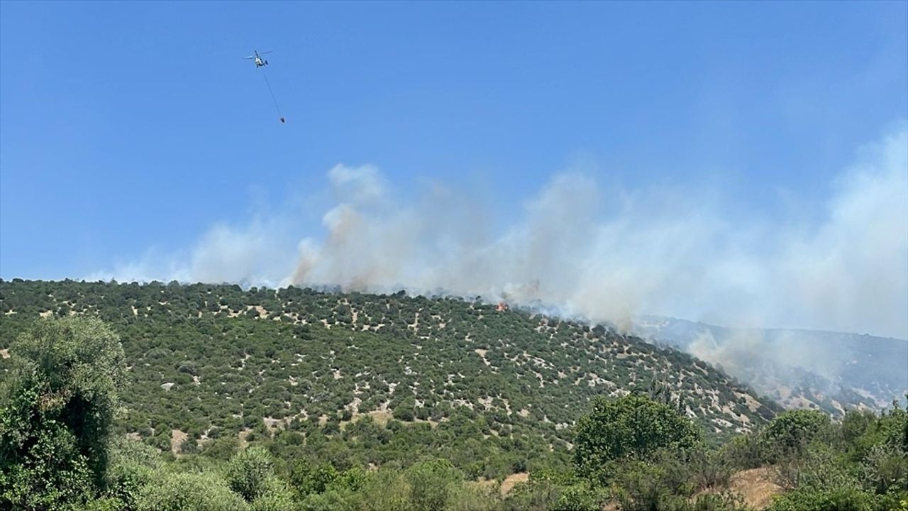 Balıkesir Karesi'deki Yangına Müdahale Başladı