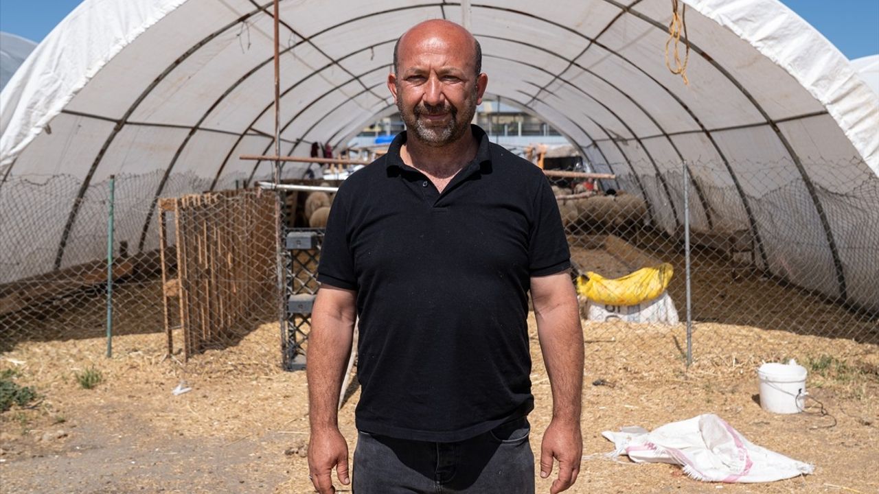 Başkentte Kurbanlık Satışları Tamamlandı