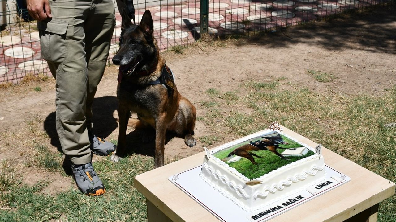 Batman'da Dedektör Köpek Linda Emekli Oldu