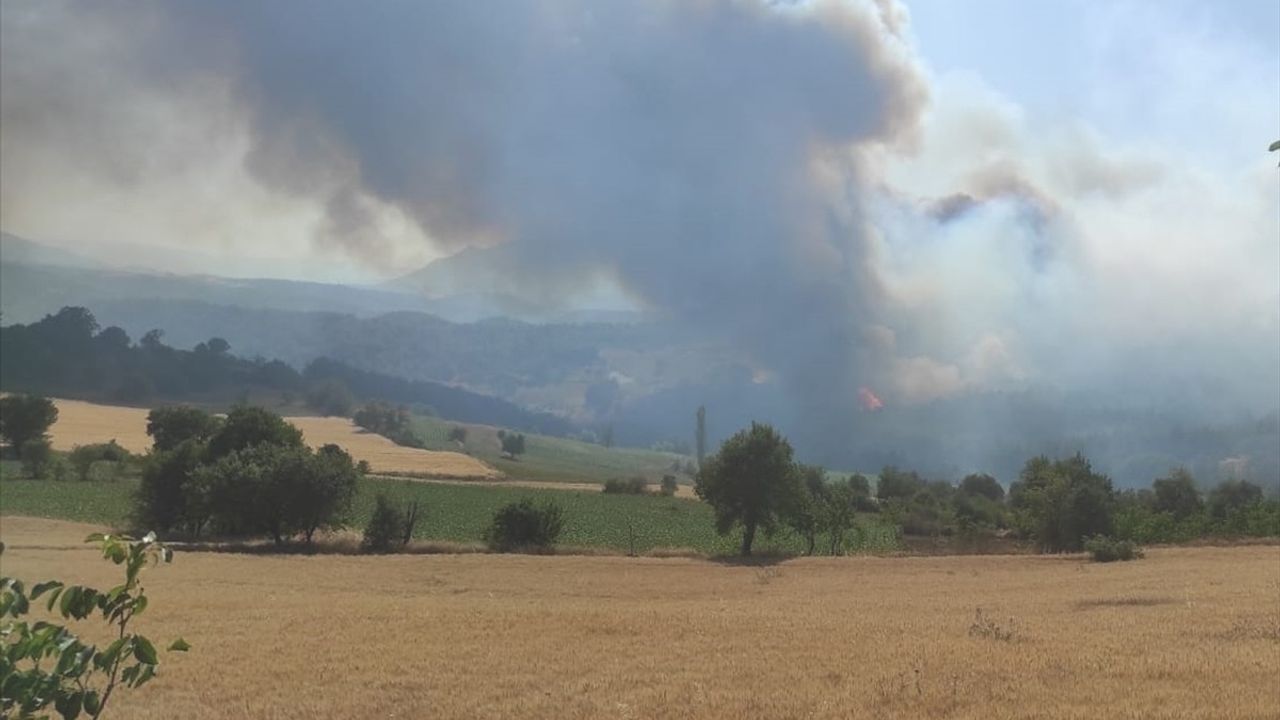 Bilecik'te Orman Yangınına Hızla Müdahale