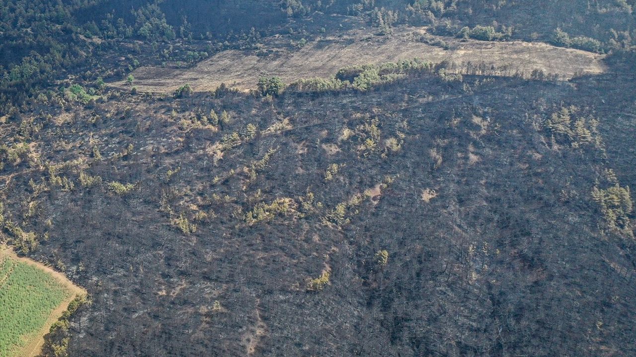 Bilecik'teki Orman Yangını Drone ile Görüntülendi