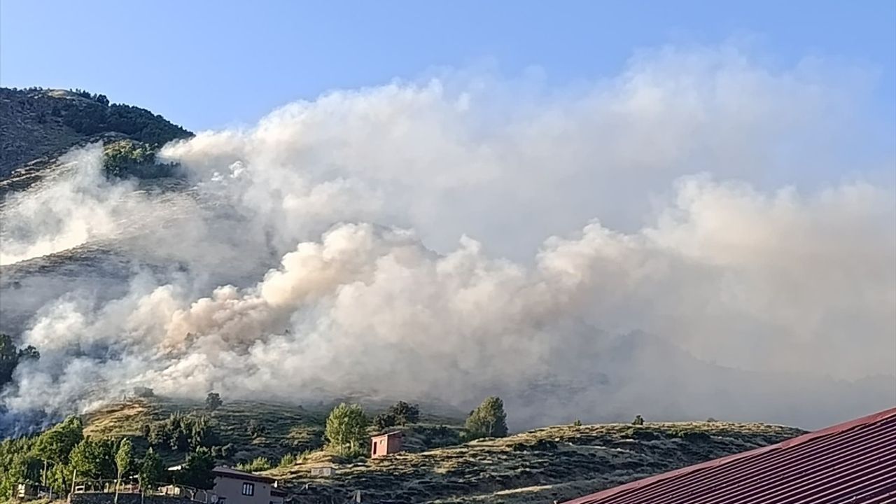 Bingöl'de Orman Yangını Kontrol Altına Alındı
