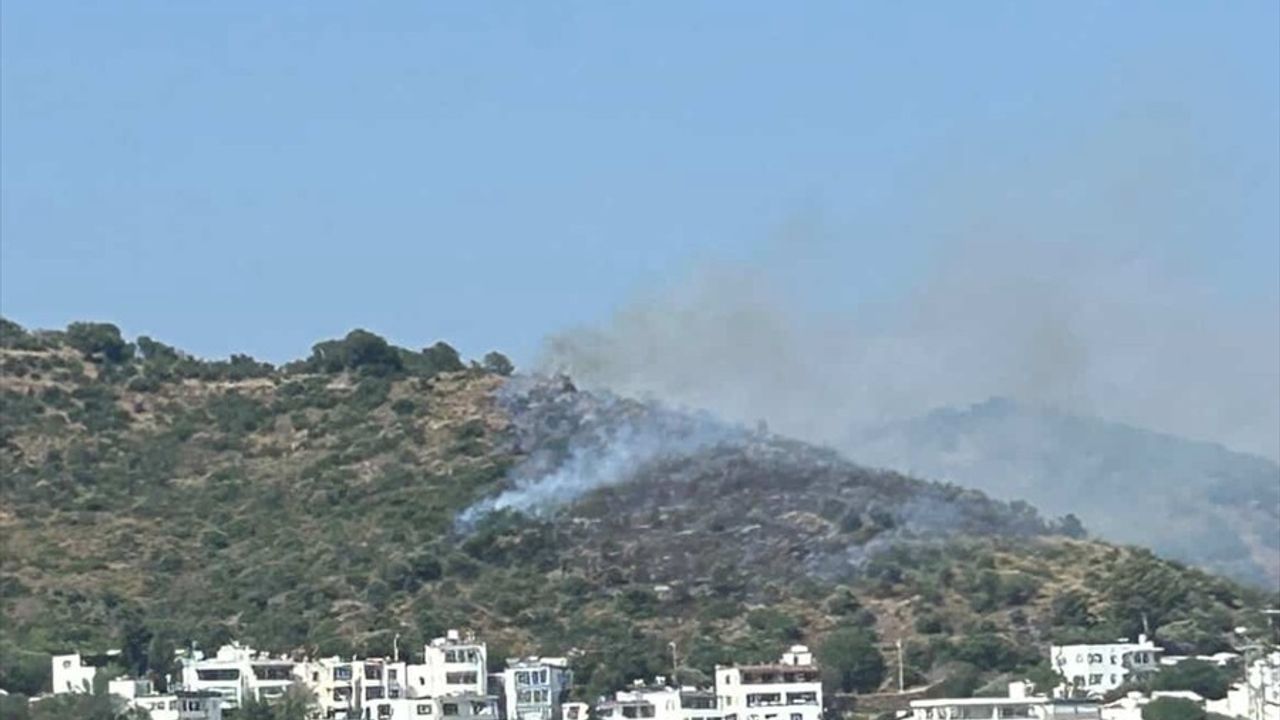 Bodrum'da Makilik Alan Yangını Kontrol Altına Alındı