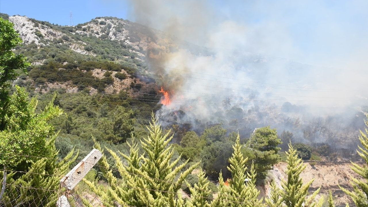 Bodrum'da Orman Yangınına Hızlı Müdahale