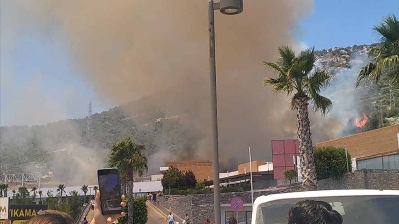 Bodrum'daki Orman Yangınına Mücadele Devam Ediyor