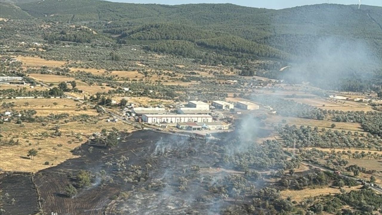 Bodrum'daki Tarım Arazisinde Yangın Kontrol Altına Alındı