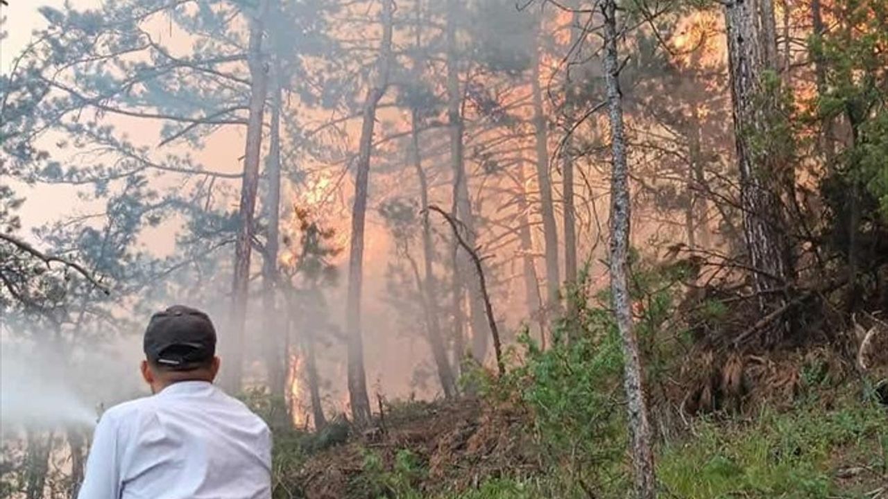 Bolu'da Orman Yangınına Müdahale Devam Ediyor