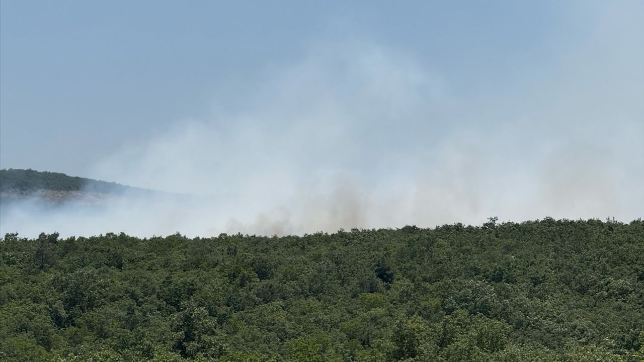 Bursa'da Orman Yangınına Hızla Müdahale Ediliyor