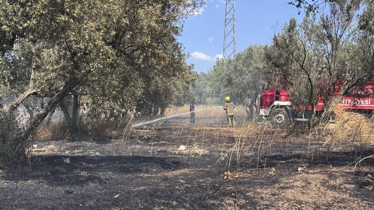 Bursa'da Tarladan Zeytinliğe Sıçrayan Yangın Kontrol Altına Alındı