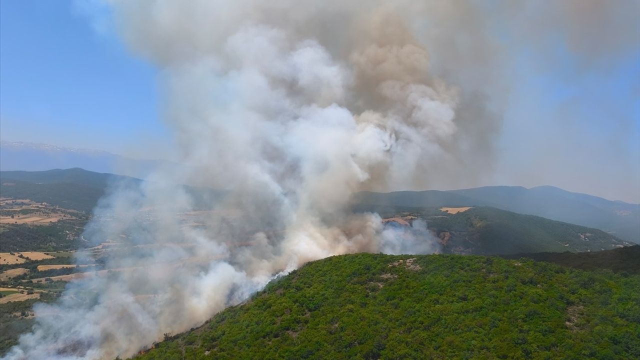 Bursa'daki Orman Yangınına Hızla Müdahale Ediliyor