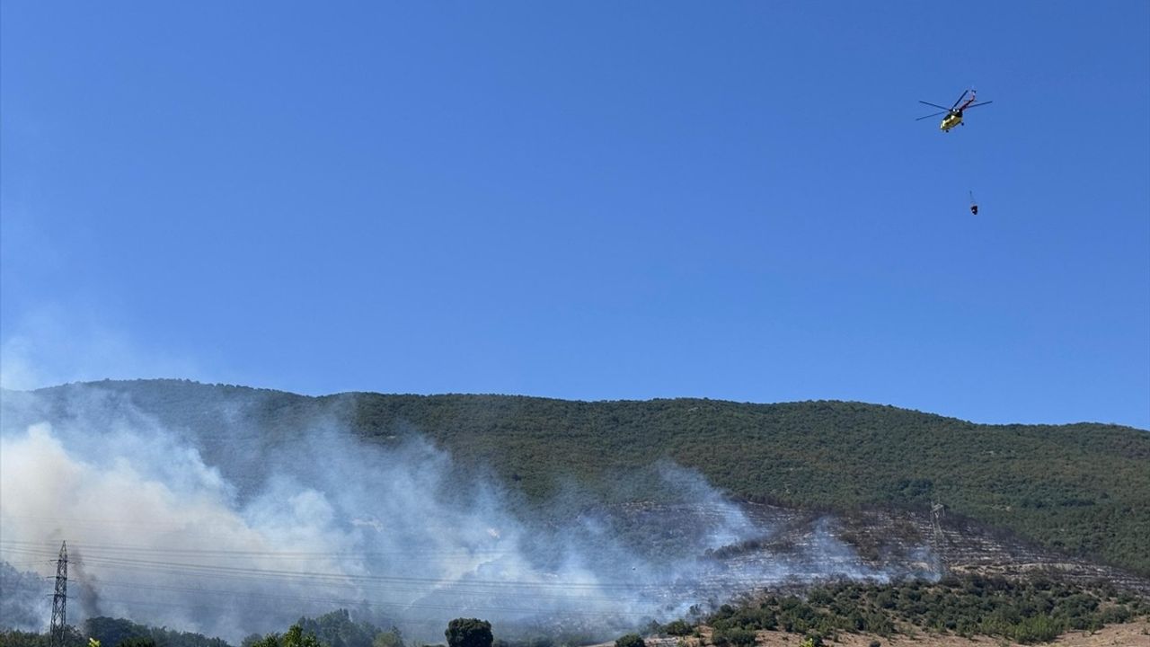 Bursa'nın Yenişehir İlçesinde Orman Yangını Kontrol Altına Alınıyor