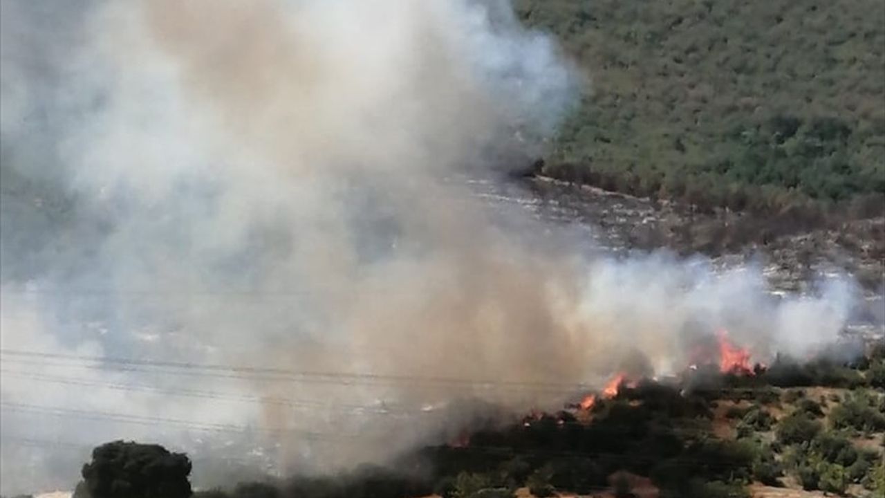 Bursa'nın Yenişehir İlçesinde Orman Yangınına Müdahale